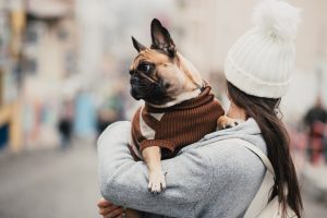 Tips-To-Keep-Your-Pet-Safe-This-Winter 